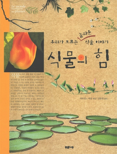 �Ĺ��� �� - �츮�� �𸣴� ���� �Ĺ� �̾߱�