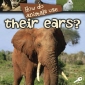 How Do Animals Use Their Ears